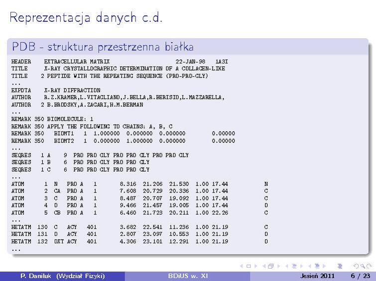 Plik:BDiUS 2011z w11.pdf