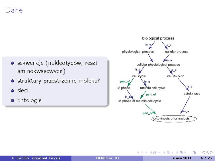 Plik:BDiUS 2011z w11.pdf