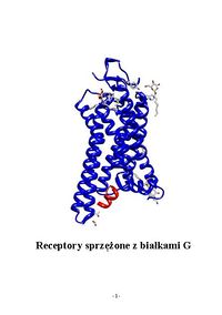 Receptory sprzężone z białkami G (GPCR’s – ang. G protein coupled receptors) - Podstawowe informacje.GPCR.pdf