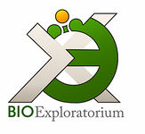 BioExLogo 03 kolor.jpg
